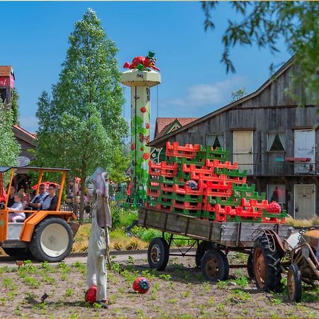 Ferienanlage Seeblick Kunstquartier Koserow Bagian luar foto